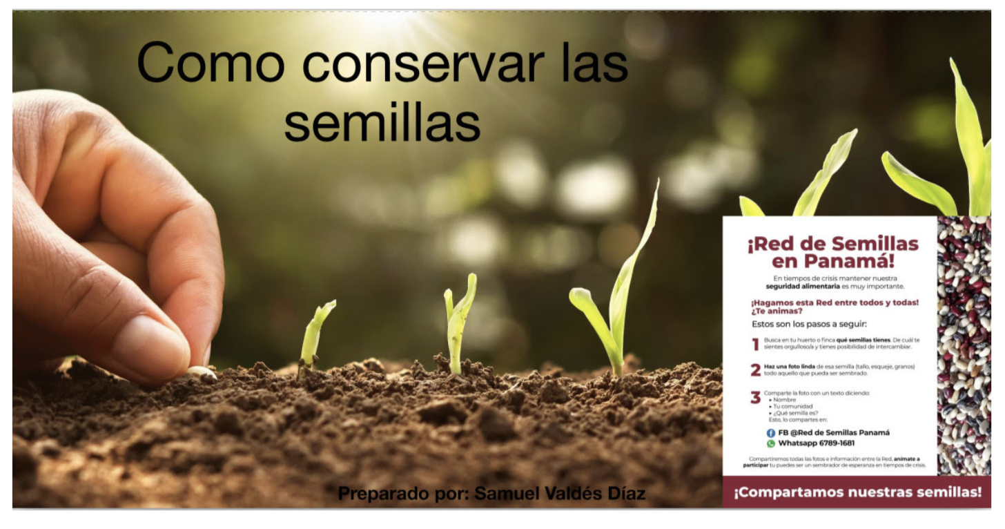 Como conservar las semillas