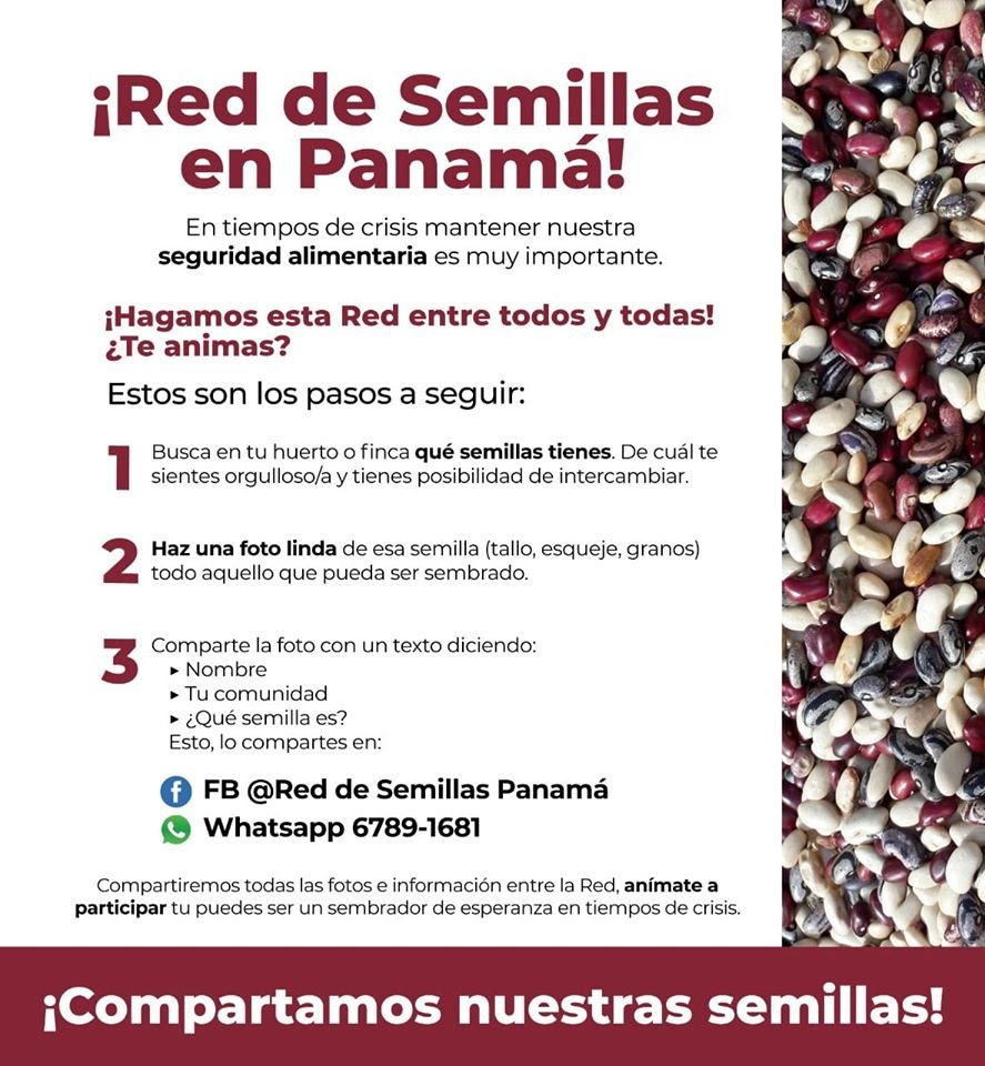Red de semillas