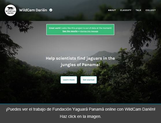 proyecto yaguara