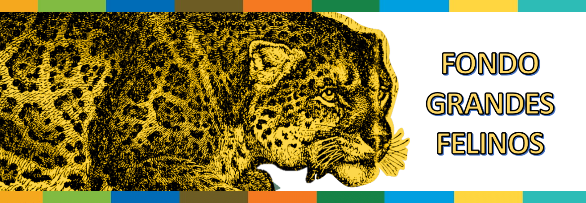 Sacado del documento Comunidades conviviendo con jaguares, Fundación Yaguará Panamá, 2022.